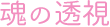 魂の透視